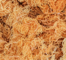 Raw Gold Sea Moss